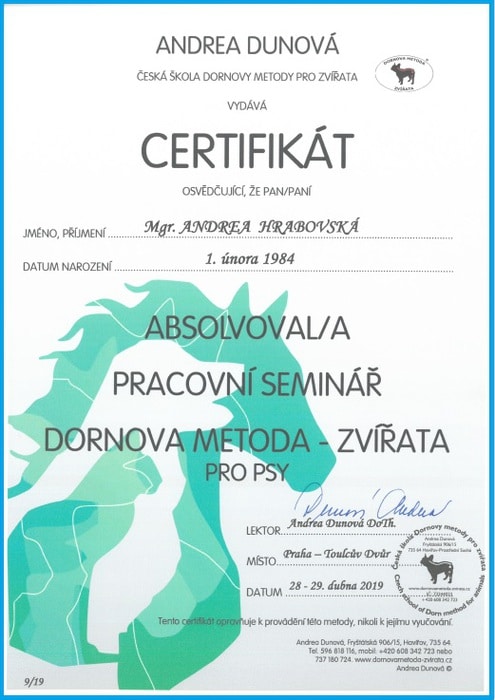 seminar Dornova m-